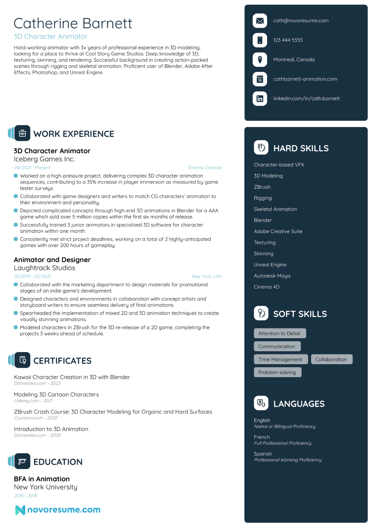 computer-animator-job-application-form-template