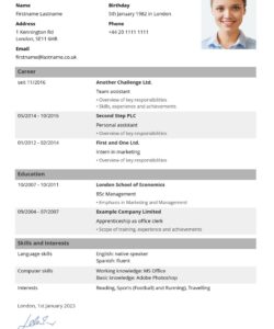 cv-in-tabular-form-template