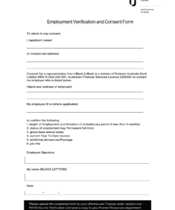 employment-verification-consent-form-template