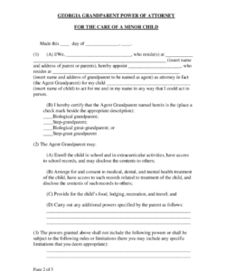 grandparents-power-of-attorney-form-template