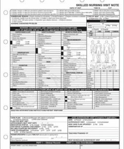 medicaid-nursing-visit-documentation-form-template