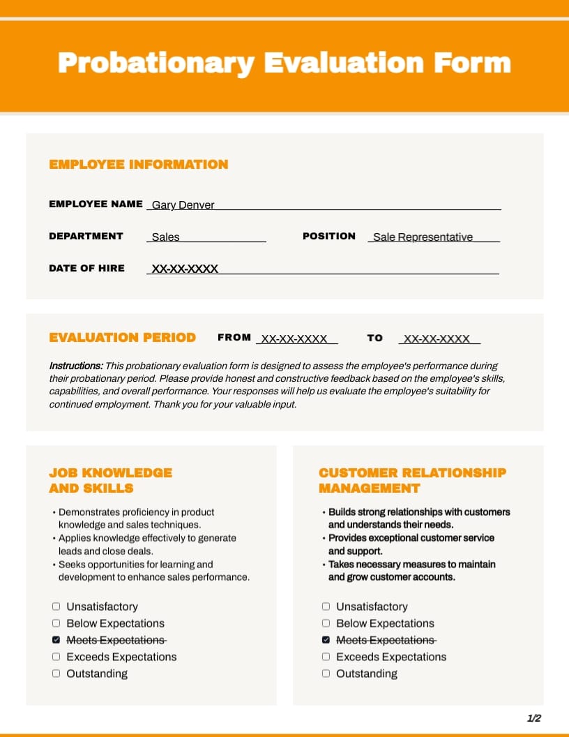 probation-process-evaluation-form-template