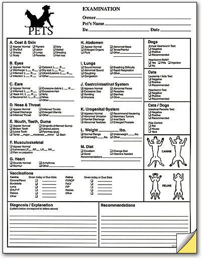 veterinary-physical-exam-form-template
