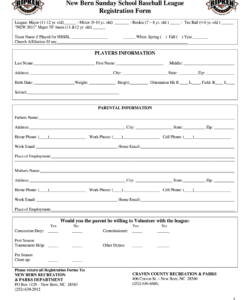 youth-baseball-registration-form-template